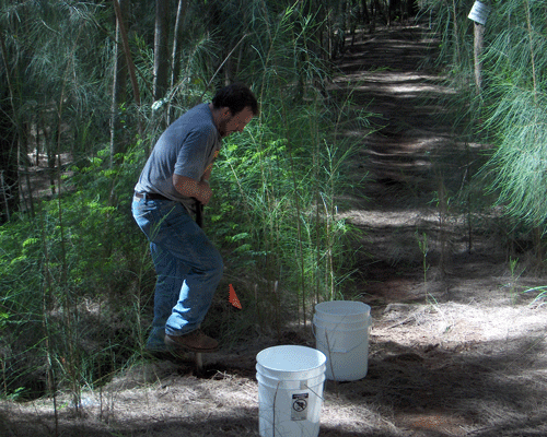 Camp Smith Sampling